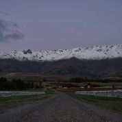 Amisfield Central Otago Pinot Noir Rosé 2025