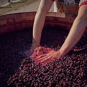 Amisfield Central Otago Pinot Noir Rosé 2025
