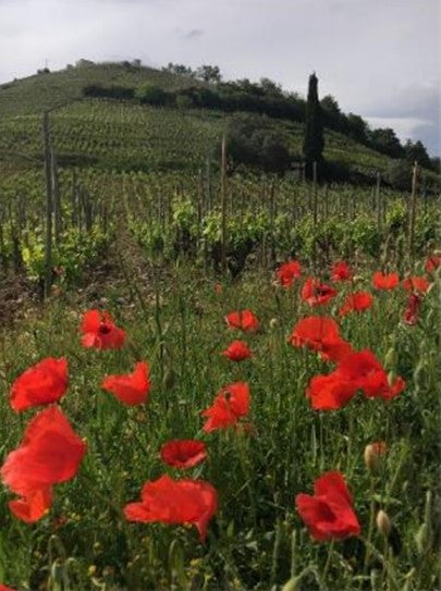 Ferraton Gigondas 'LES MURAILLES' GSM 2022