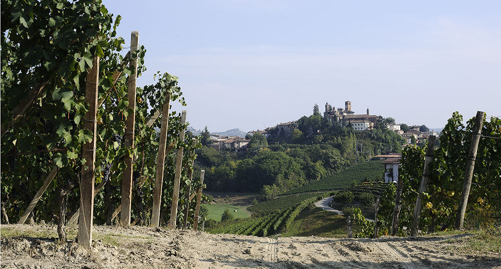 Fontanabianca Langhe Nebbiolo DOC 2023