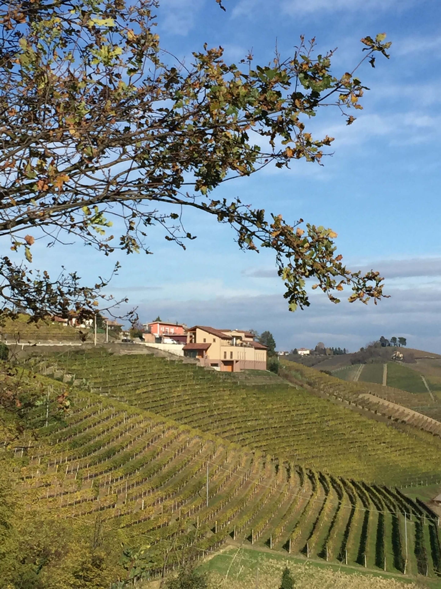 Fontanabianca Langhe Nebbiolo DOC 2023