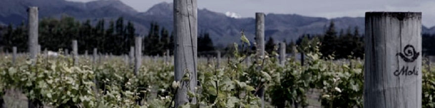 Mahi, Marlborough, Chardonnay 2023