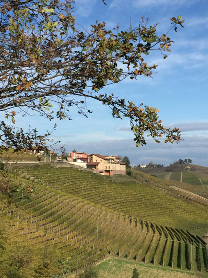 Fontanabianca Arneis Langhe DOC 2023