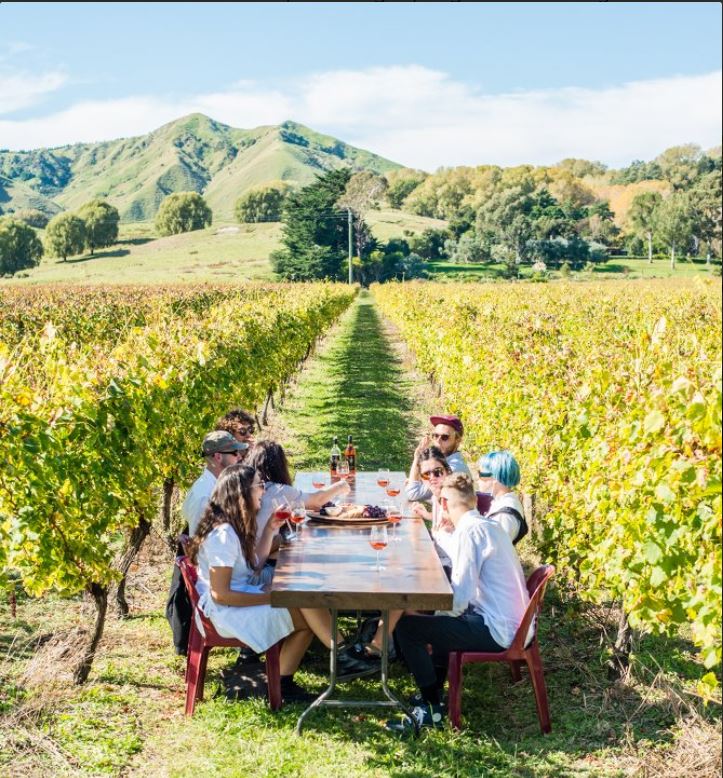 A lovely table of young people enjoying wind and a platter amongst the vines at TW Wines.