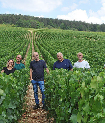 The Domaine Christian Moreau team in the vineyard, Chablis