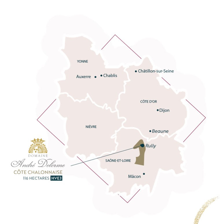 a map showing the position of Delorme winery in Rully, Burgundy France from The Wine List NZ