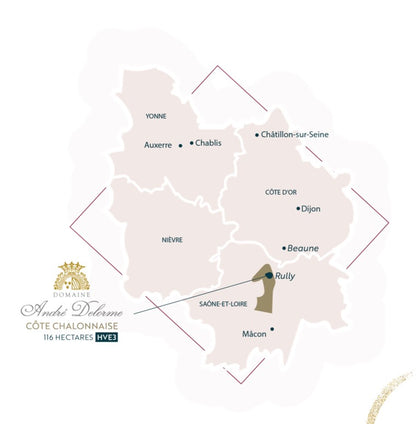 a map showing the position of Delorme winery in Rully, Burgundy France from The Wine List NZ