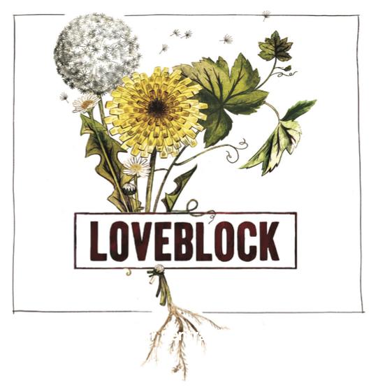 Loveblock Marlborough Dry Riesling 2023